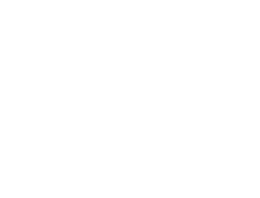Investigations Plus Ltd